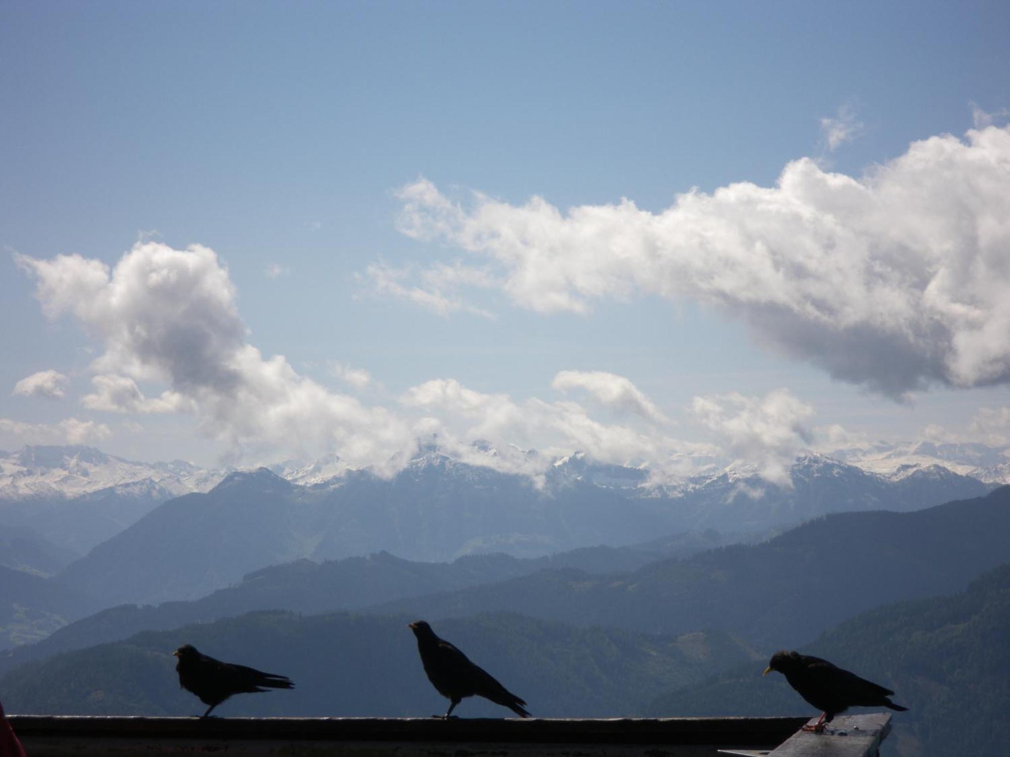 Pension Heilbad Burgwies Stuhlfelden ภายนอก รูปภาพ